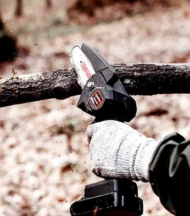 Bird Banner Background